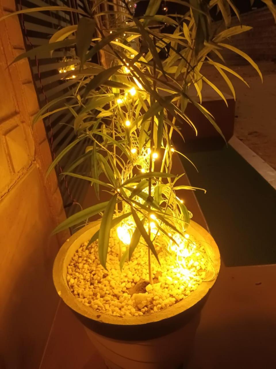 Thar View Hotel جيلسامر المظهر الخارجي الصورة